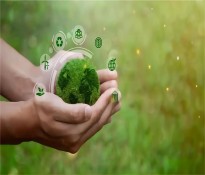 ʮҎ(gu)a(chn)I(y)(bo)桿xʮ壺²Ϯa(chn)I(y)ǰͻca(chn)I(y)x춨δa(chn)I(y)ʯ